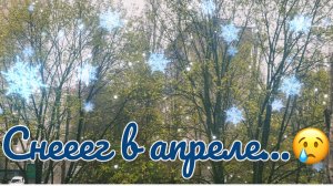 АПРЕЛЬСКИЙ СНЕГ 😂 ПОГОДА ШУТИТ ВЕСЬ АПРЕЛЬ…