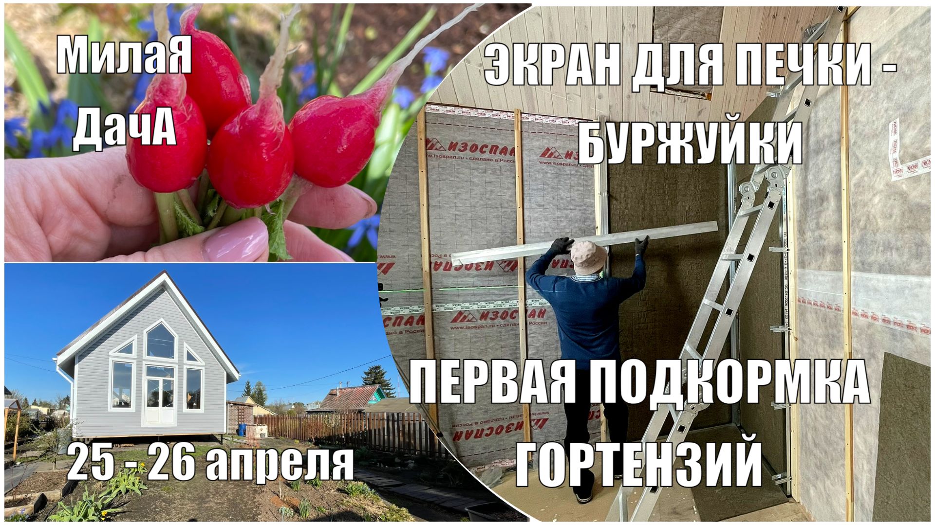 Первый урожай  Подкормка гортензий и роз  Экран для печки  Дачный влог 25-26 апреля