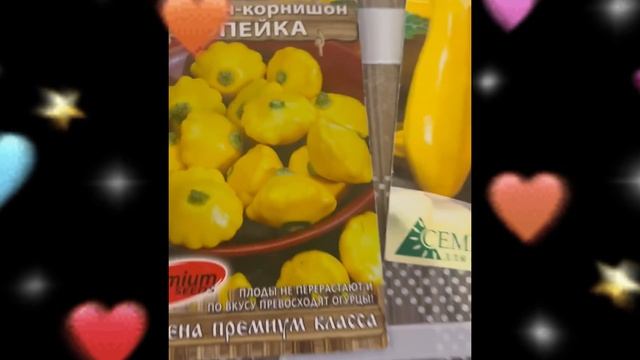 Сеем кабачки, тыкву и патиссоны