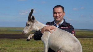 ПЮУ 13 выпуск (26.04.2026)