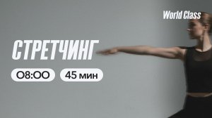 СТРЕТЧИНГ с Эльвирой Сахибгареевой | 28 апреля 2026 | Онлайн-тренировки World Class