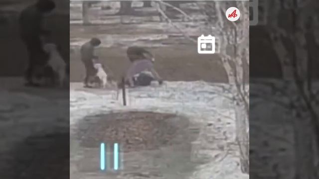 Спасала всех. Похоронили Леру Зиму умершую после жестокого избиения на улице