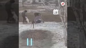 Спасала всех. Похоронили Леру Зиму, умершую после жестокого избиения на улице