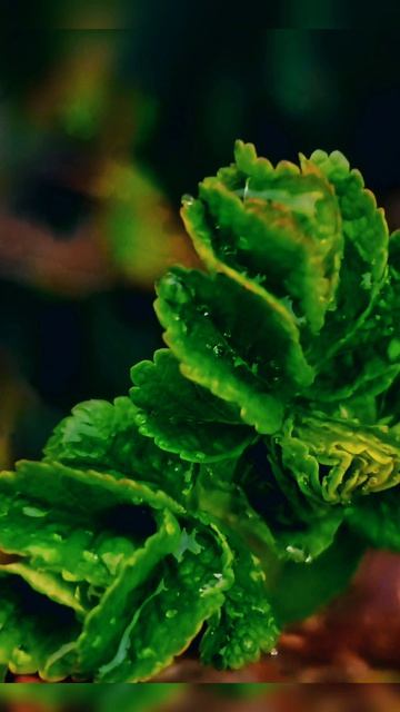 Мой новый фильм 