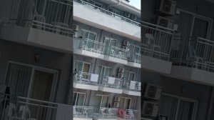 1000072037.mp4эльдар гарден