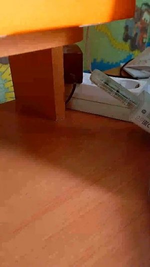 фанатик в прямом эфире