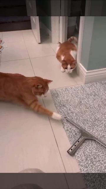 ОСХ (очень страшная хреновина)