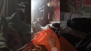 VID_20260413_163102.mp4