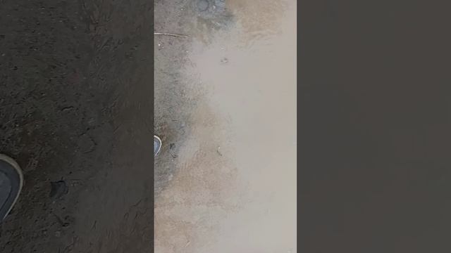 котик я его назвал кик