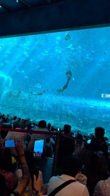 Подводное шоу на Фукуоке