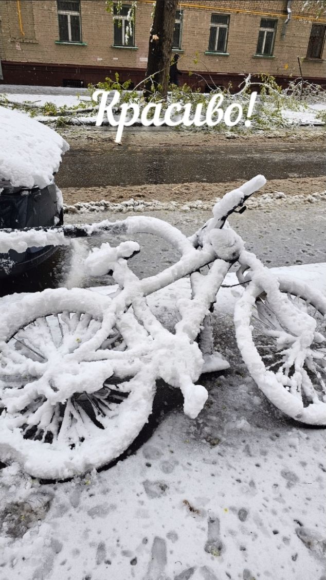 🙈У природы нет плохой погоды 🙉