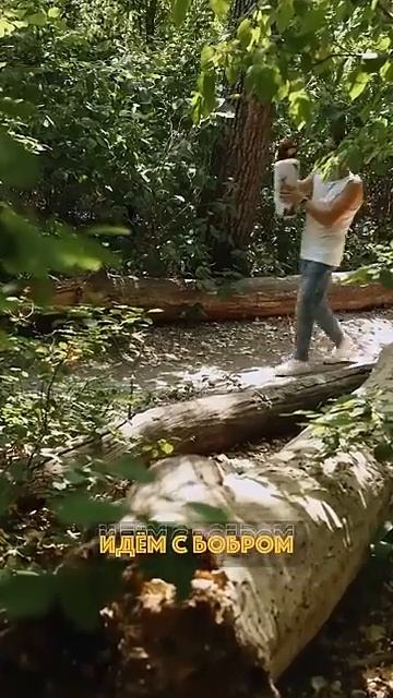 «Бобр, курва!» (2)