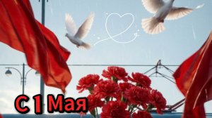 С 1 Мая: красивое видео открытки и поздравление | Домохозяйка