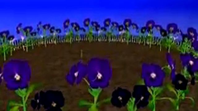 Цветы-2
