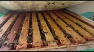 АПРЕЛЬСКАЯ ЗИМА 2026