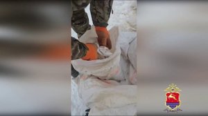 Полицейскими задержан «чёрный старатель», незаконно добывший на Колыме драгметаллы на 8,5 млн рублей