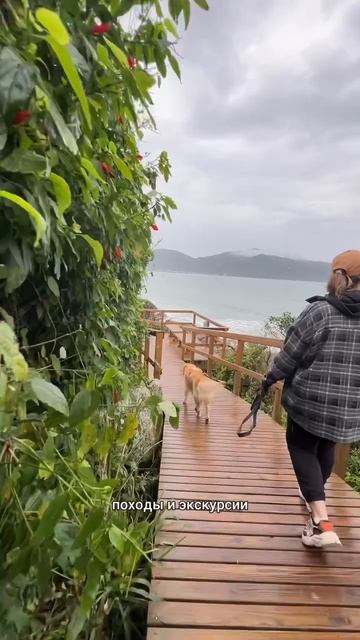 Бывают в жизни огорчения🙄))