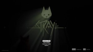 Stray #3
