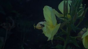 Не_поделили