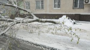 20260427 Предпервомайский московский снегопад, но на работу надо ехать.