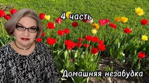 4 часть. Оп@рыши - книголюбы ,где вы учились❓️