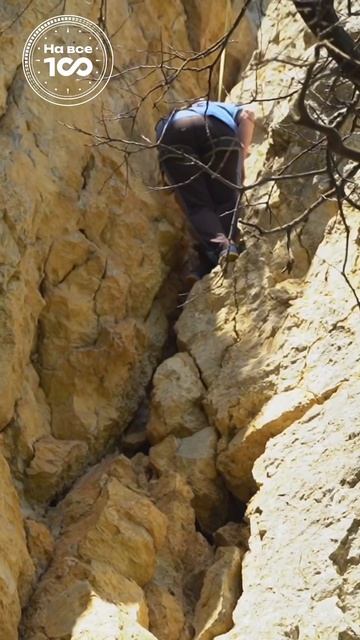 Какой секрет долголетия? Ответ в новом выпуске шоу «На все 100» Выпуск уже на канале! #shortvideo