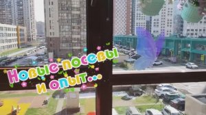 27.04.26🌸Опыт-сын ошибок трудных 🌸