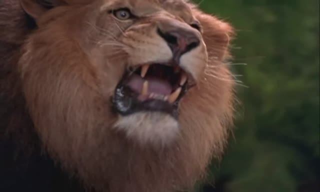 Про Маугли (клип)