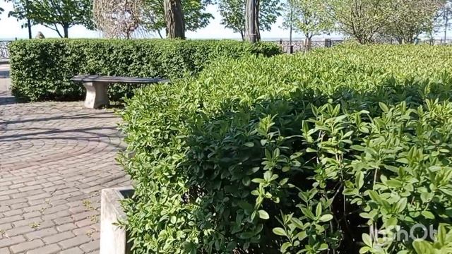 Приморская набережная в Ейске. Море цвета кофе с молоком🌊. Поґибшие дельфины на берегу