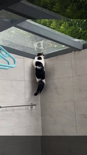 Специальный агент