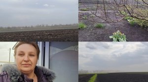 26.04.26.Ураган,что-то невероятное.Я не могла это не снять.