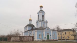 История села Вышгород