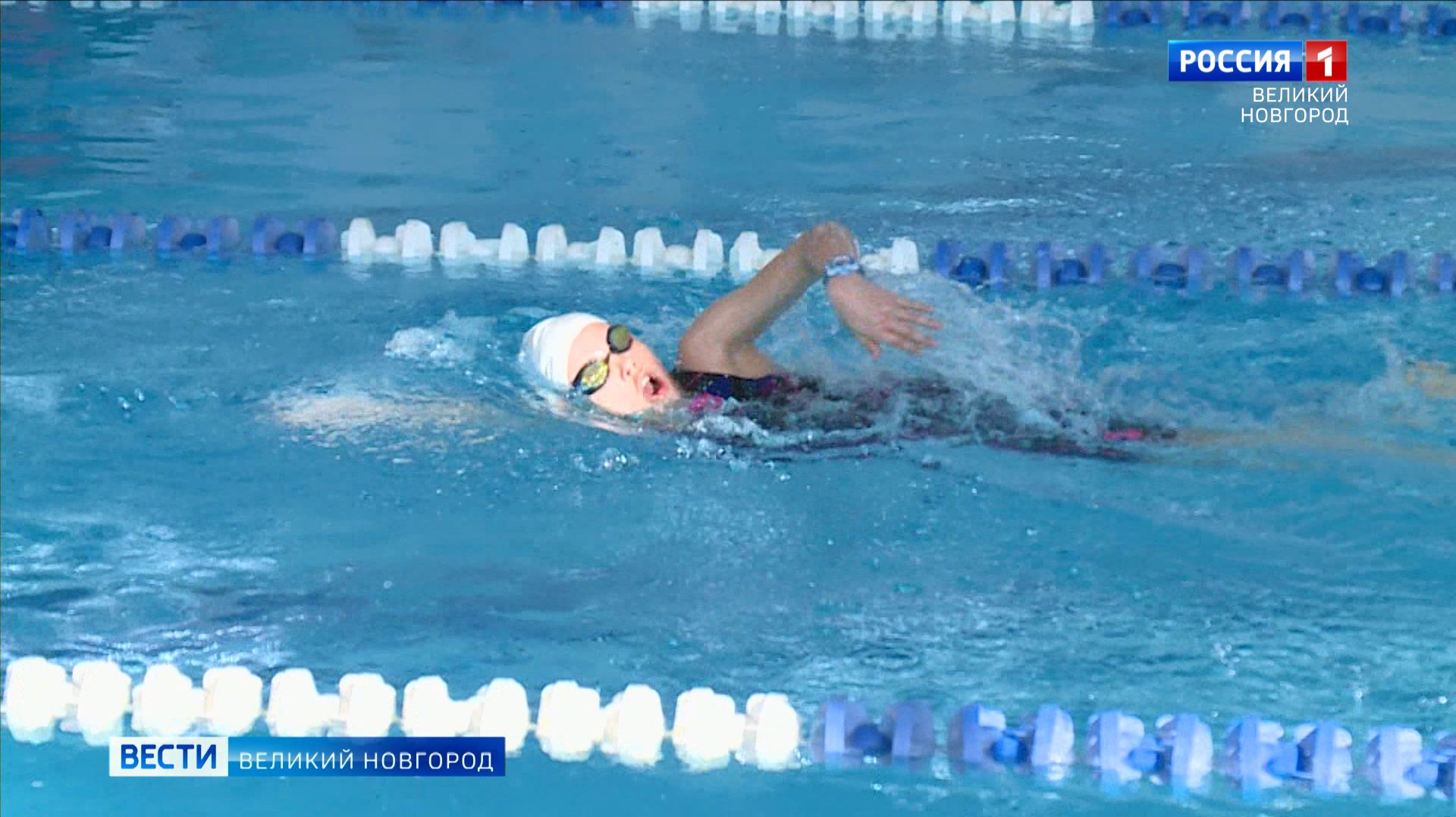 ГТРК СЛАВИЯ Межрегиональный фестиваль по плаванию во Дворце спорта 