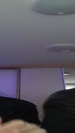 распаковка капибар