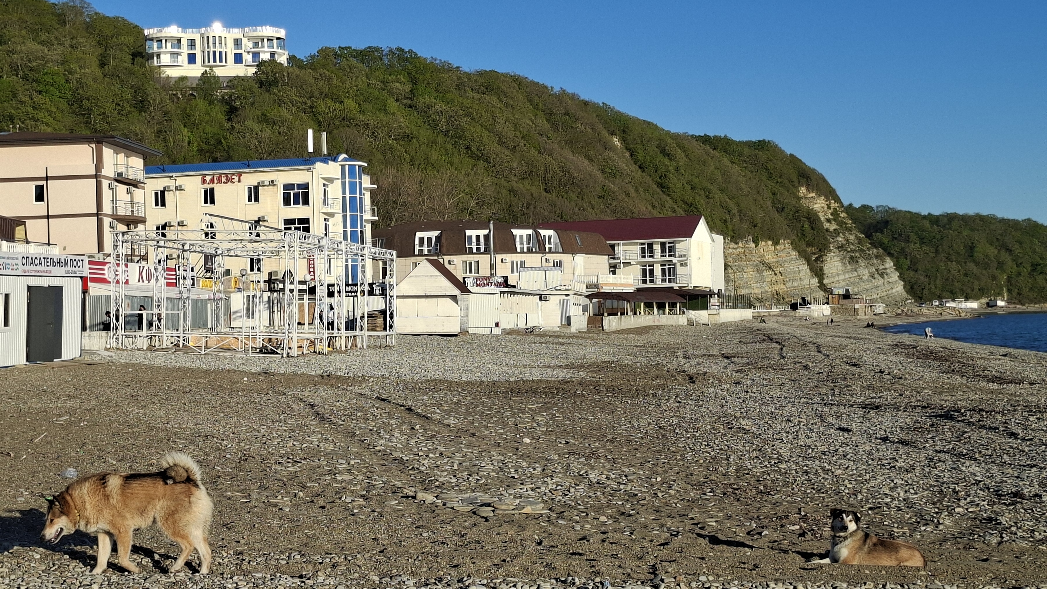 Клубника еще не та 🥴 вот и до нас он добрался🫣 на пляже/Новомихайловский