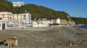 Клубника еще не та 🥴 вот и до нас он добрался🫣 на пляже/Новомихайловский