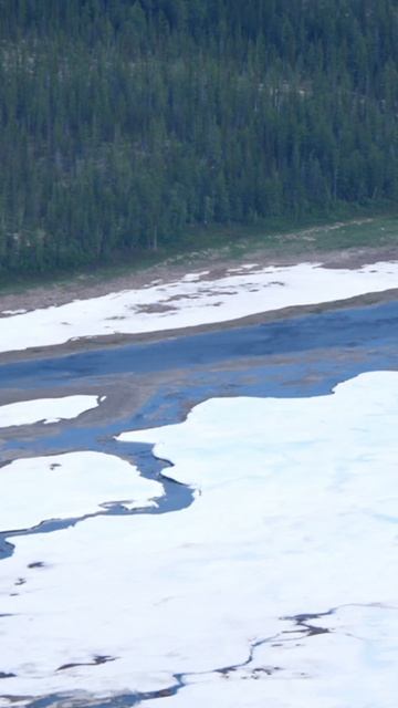 Сохраняем биоразнообразие — заботимся о будущем