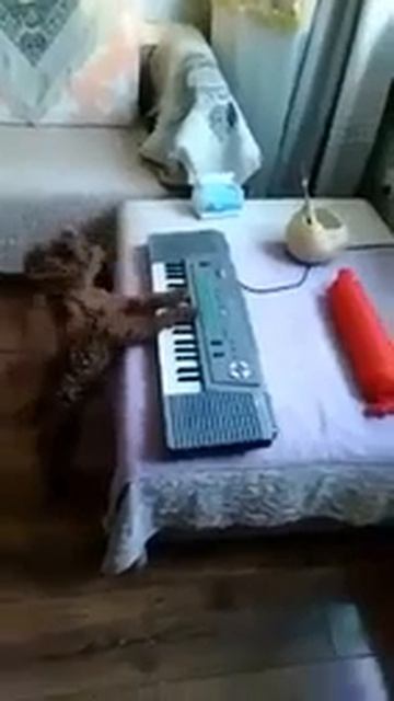 Я вам песню сейчас спою, про 5 минут🎤))