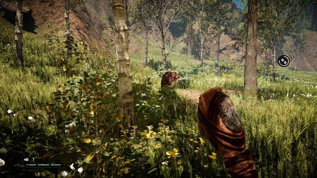 Far Cry Primal X5