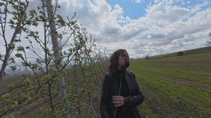 Приехали посмотреть, как цветут яблони, а тут-ветер, снег, град.