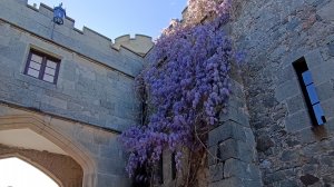 Выставка портретов русских полководцев в Шуваловском проезде.