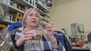 НАКУПИЛА ИКРЫ И ЧЕРНОЙ И КОАСНОЙ!