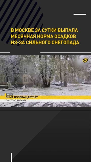 В Москве за сутки выпала месячная норма осадков из‑за сильного снегопада