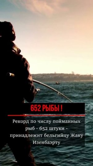 факт #35
