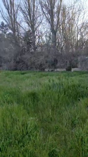 Россия 🇷🇺 Феодосия !!! Весна ☀️🌱🌳 🌲🌿💐🌊🚢 Год 2026