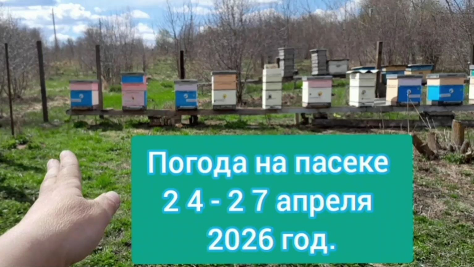 Погода на пасеке 24-27 апреля 2026 год