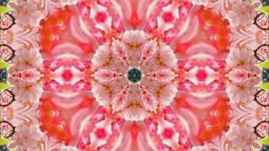 Весна! Очаровательные тюльпаны 9! Киностудия Мудрого Кота Тимофея!