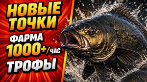 🤑 НОВЫЕ ТОЧКИ для ФАРМА РР4! МЕДНОЕ • АХТУБА • ОСТРОГ! Фарм Серебра в Русской Рыбалке 4