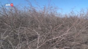 Заброшенный участок