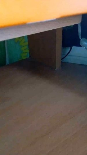 стрим фанатик